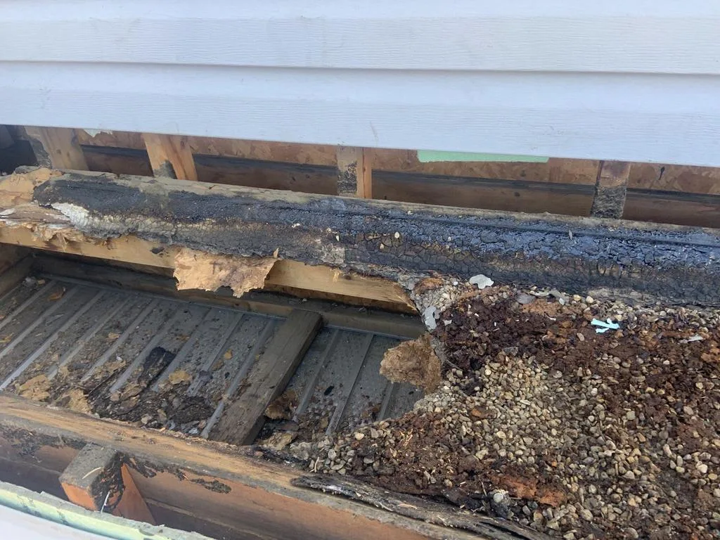 Rotted wood decking and roof layers exposed at the edge of an old roof